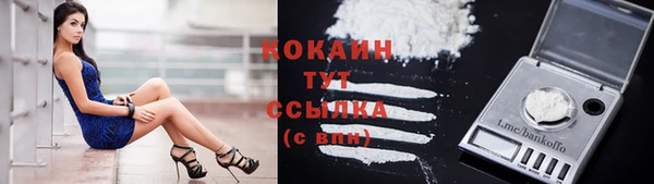 стафф Богородицк
