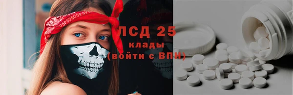 стафф Богородицк