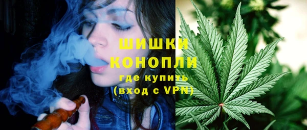 гашик Белоозёрский