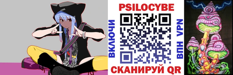 кракен ссылки  Борзя  Галлюциногенные грибы Psilocybe 